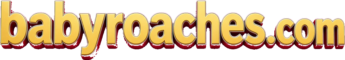 babyroaches.com