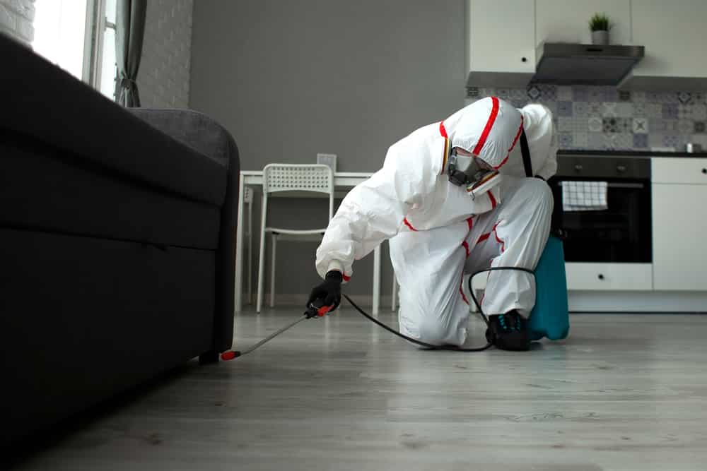 exterminator
